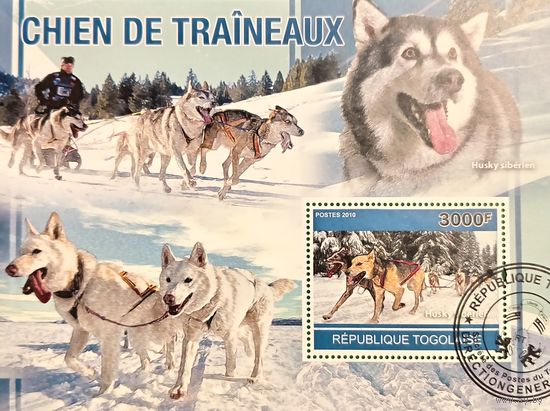 Того 2010. Ездовые собаки. Блок