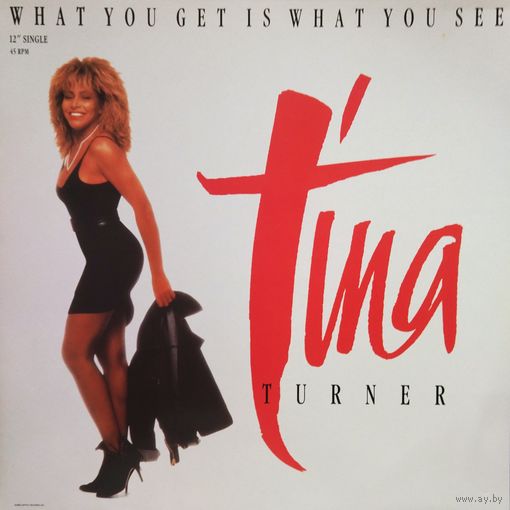 TINA TURNER /What You Get Is What You See/1986, EMI, LP, Max- Single