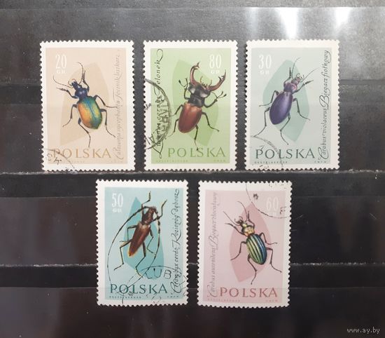 Польша. Фауна. Жуки (1274)