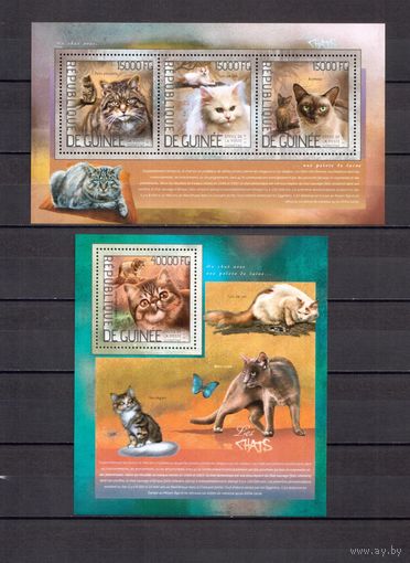 Гвинея 2014 Фауна домашние кошки - 1 лист + 1 блок MNH**