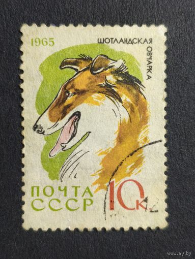 1965 СССР. Охотничьи и служебные собаки