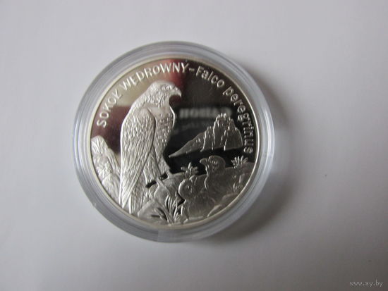 Сокол 20 злотых плюс 2 злотых в подарок.