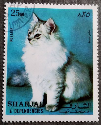 Марка Шарджа 1972 год Кошка