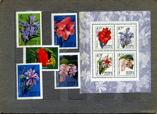 СССР, 1971, ТРОПИЧЕСКИЕ** РАСТЕНИЯ   ,серия   5м, + почт блок  чистая**