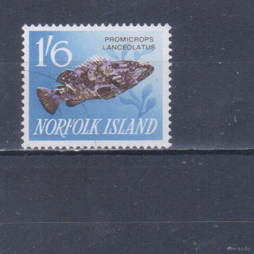 [158] Британские колонии. Норфолк 1962. Фауна.Рыба. Гашеная марка.