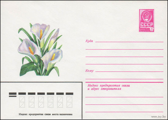 Художественный маркированный конверт СССР N 13389 (19.03.1979) Рисунок букета из калл