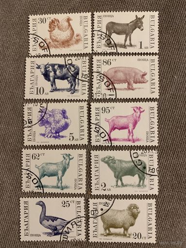 Болгария 1991. Домашний скот и птица