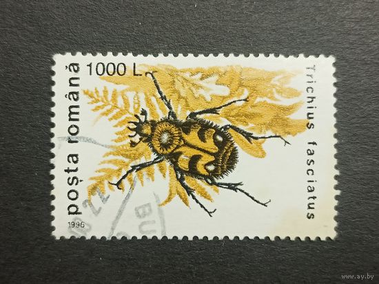 Румыния 1996. Насекомые - Жуки. Восковик