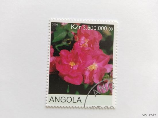Ангола  2000