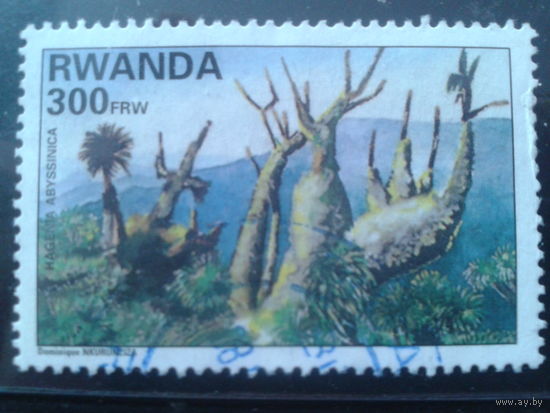 Руанда 1995 Флора, деревья Михель-4,0 евро гаш