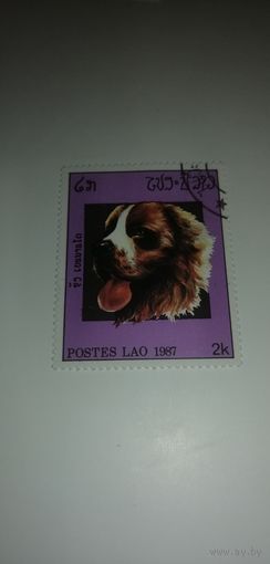 Лаос 1987. Собаки