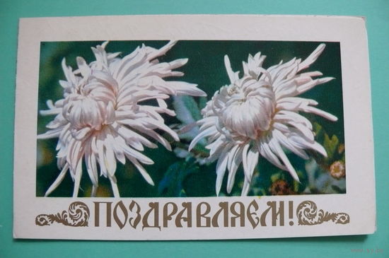 Костенко Г., Поздравляем! 1980, двойная, подписана.