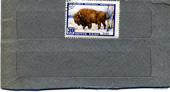 СССР, 1957, ФАУНА СССР,   1м, гашен