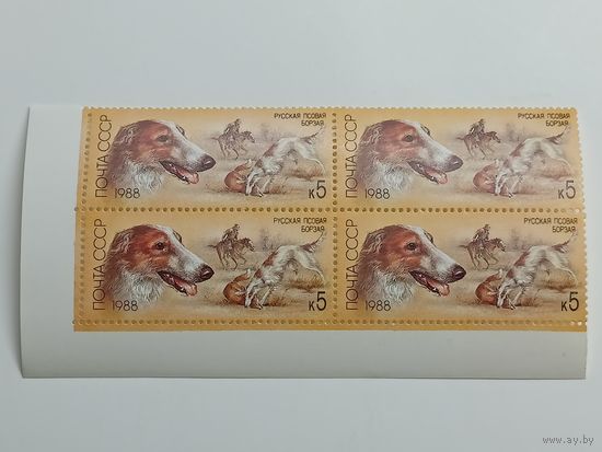 1988 СССР. Охотничьи собаки. Русская борзая. Квартблок