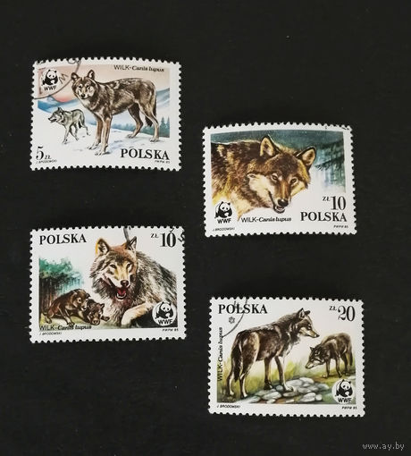 Польша 1985 г. Волки. WWF Охраняемые животные, полная серия из 4 марок #0215-Ф1P41
