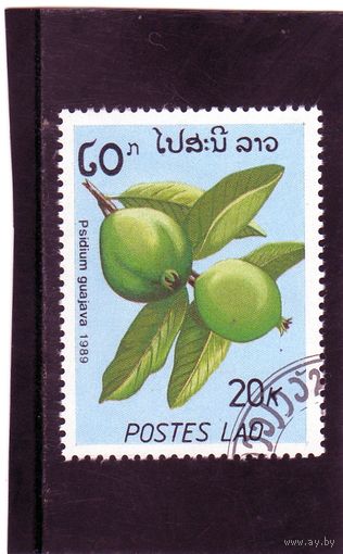 Лаос. Ми-1170. Annona squamosa Серия: Фрукты. 1989.