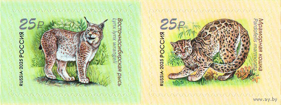 Россия 2025. Фауна.Совместный выпуск Россия Лаос 2 марки (2903)