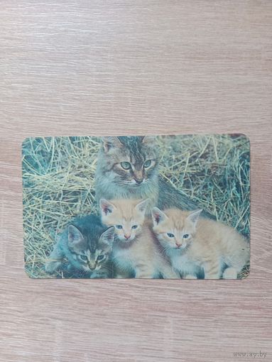 Календарик 1992