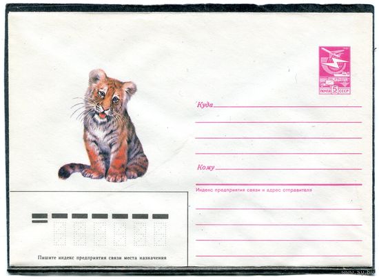 СССР 1986. ХМК. Конверт. Фауна. Тигренок. Худ. А.Исаков