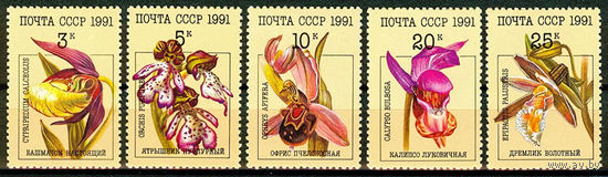 Орхидеи
