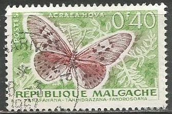 Республика Мадагаскар. Бабочка Акрея Гова. 1960г. Mi#446.