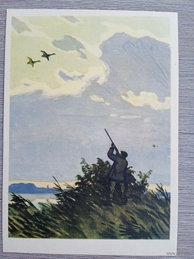 Охота. Глебов. Вечерний перелет