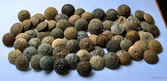 Пуговицы. Польша. Большие и средние