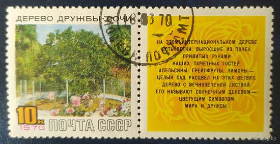 СССР 1970  Дерево в Сочи, клей.