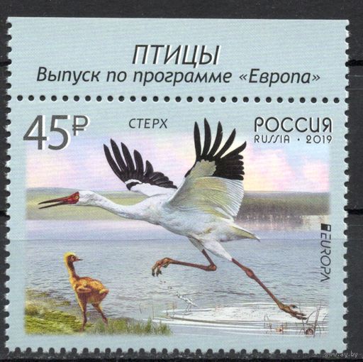 Россия 2019. EUROPA Птицы 1 марка (1727)
