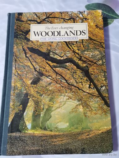 Книга.(Вечно меняющиеся леса)