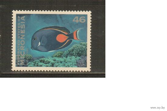 Микронезия-1996 (Мих.489) , ** , Морская фауна, Рыбы (одиночка)