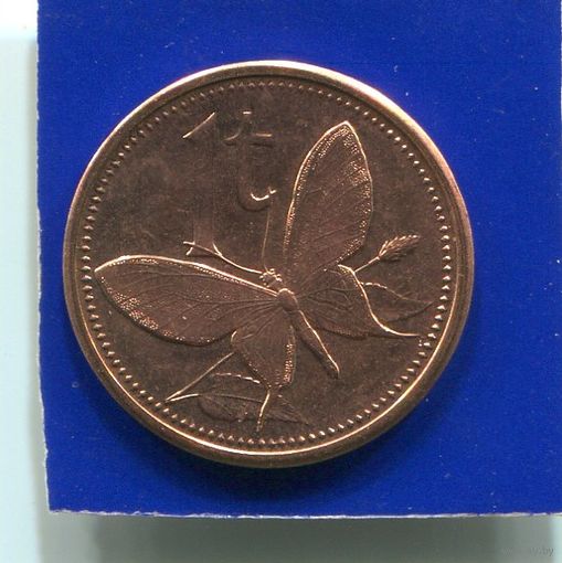Папуа Новая Гвинея 1 тойя 2004 UNC