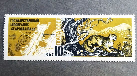 Марка СССР 1967 го Заповедник "Кедровая падь"