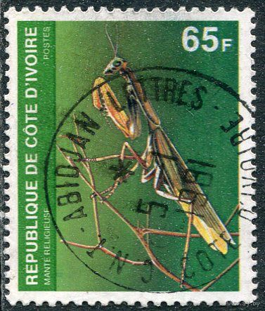 Кот-д Ивуар. Фауна. Богомол
