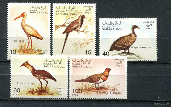 Сахара - 1991 - Птицы - 5 марок. MNH.  (Лот 53JQ)-T3P35