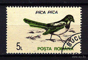 1993 Румыния. Сорока