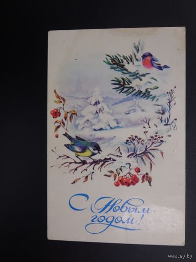 С Новым годом!  1985 г.  Птицы, рябина.  подписанная.