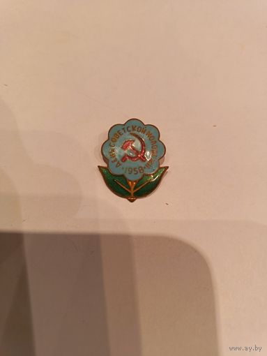 Знак СССР День советской молодёжи 1958 г