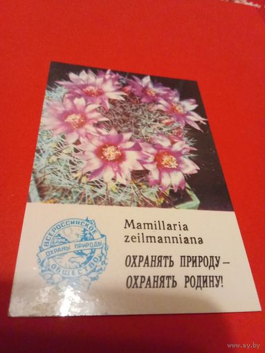 Календарик  1986г.