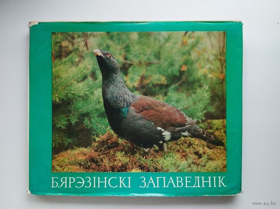 Бярэзінскі запаведнік