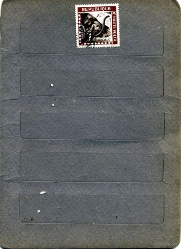 В.ВОЛЬТА, н, 1м фауна, гашен