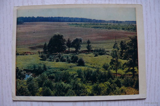 1956; Подмосковье; чистая (изд. "Правда").