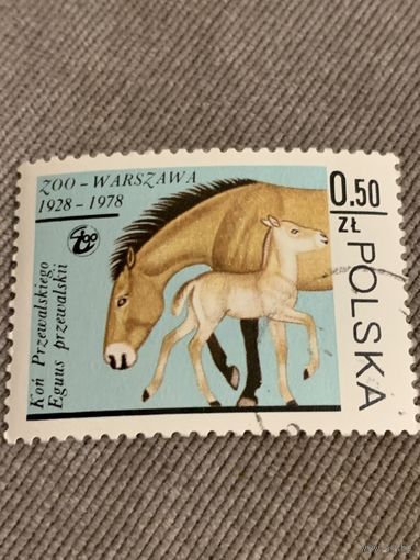 Польша 1978. Варшавский зоопарк. Конь Пржевальского. Марка из серии