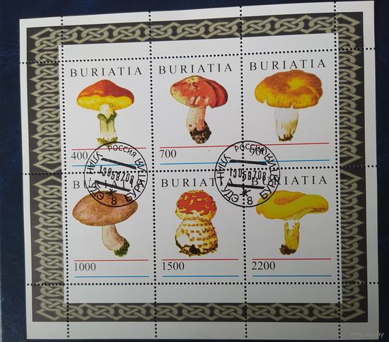 BURIATIA 1997 Грибы