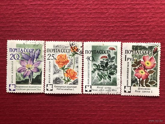 СССР 1960 год. Флора СССР