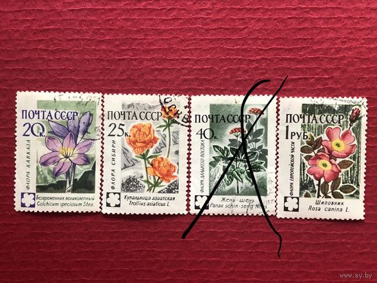 СССР 1960 год. Флора СССР