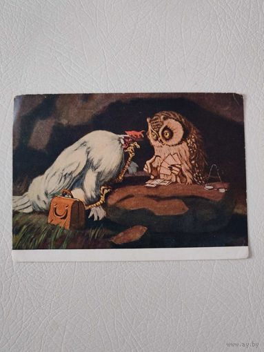 Открытка "Курица у совы" худ. Литвиненко В. Г. Серия "Исчезающие разновидности птиц"