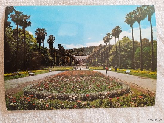 Алжир. Сад Эссаля