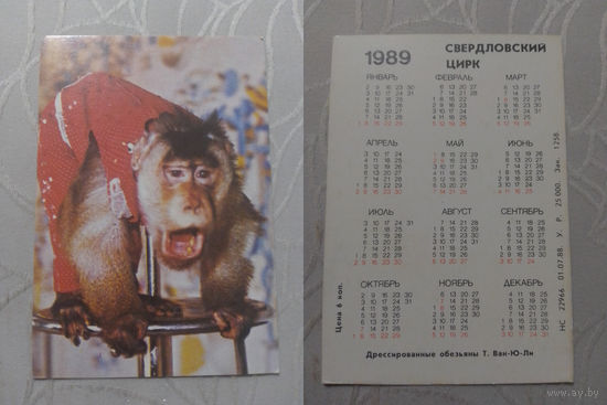 Карманный календарик. Свердловский цирк.1989 год