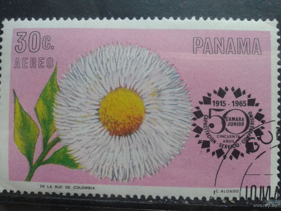 Панама 1966 Цветок